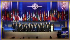 NATO75DC7924 b (13).jpeg